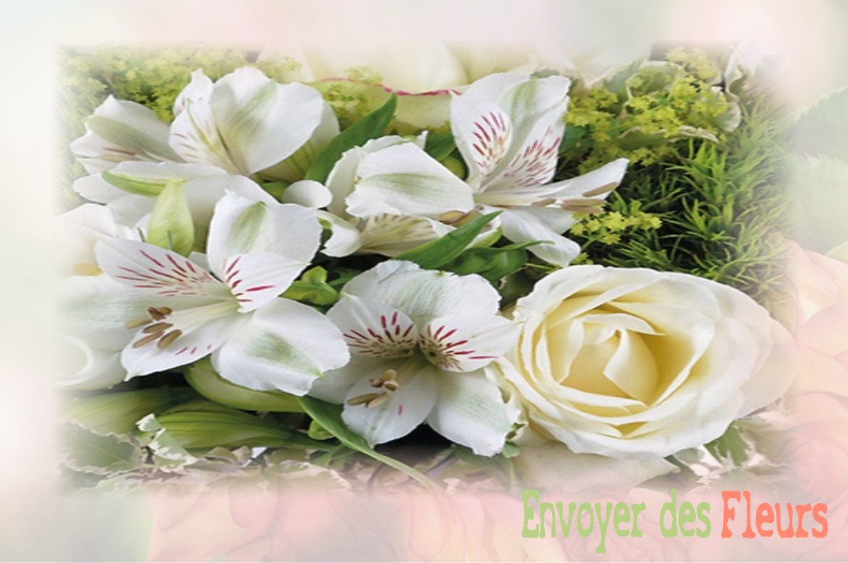 envoyer des fleurs à à CHATEAU-L-HERMITAGE